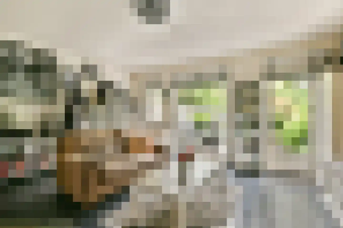 Druivengaard 41 Spijkenisse thumbnail 8
