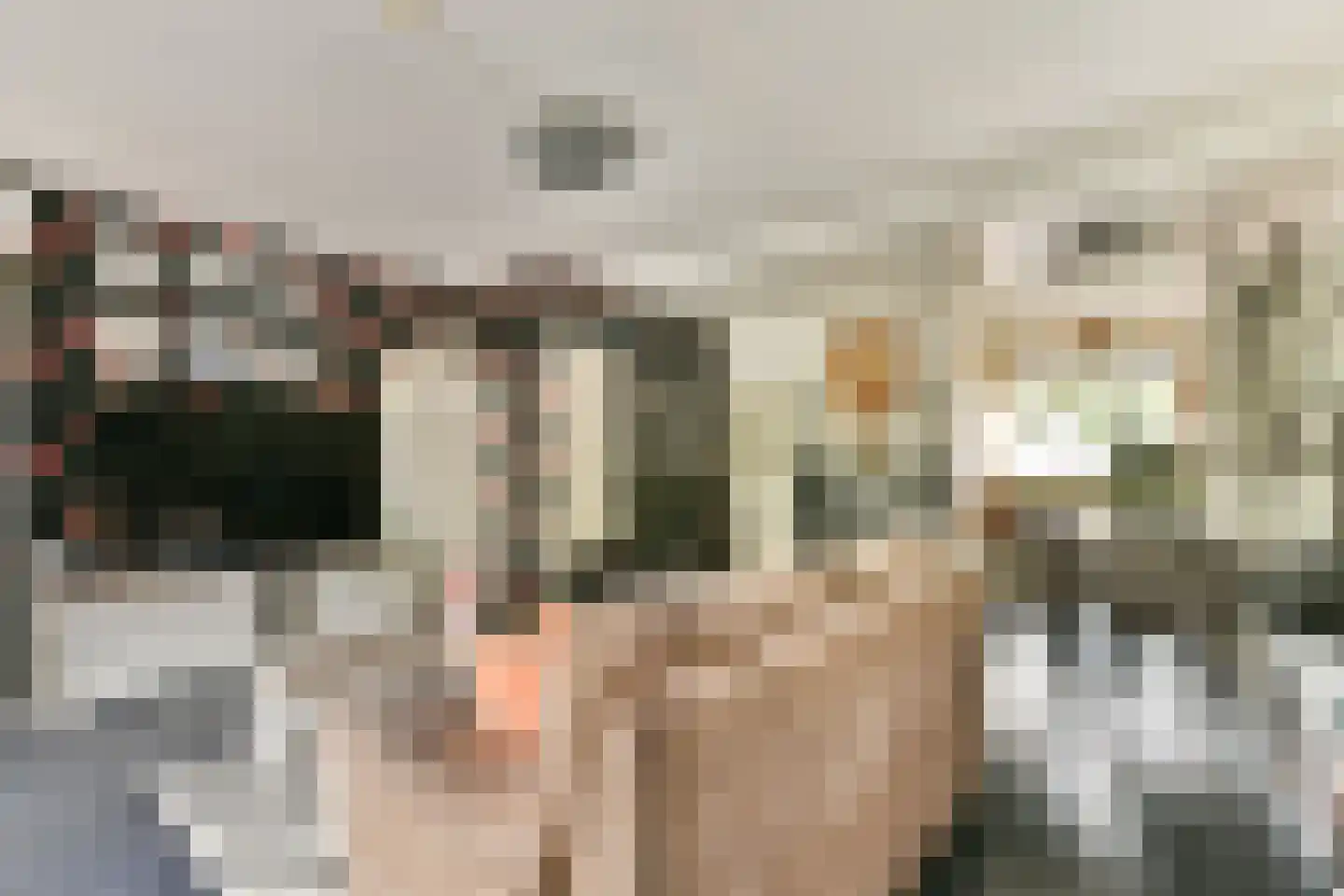 Druivengaard 41 Spijkenisse thumbnail 9