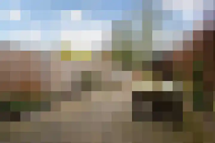 Druivengaard 8 Wijk bij Duurstede thumbnail 19