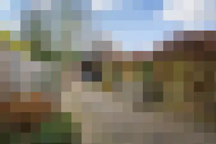 Druivengaard 8 Wijk bij Duurstede thumbnail 20