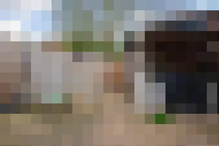 Druivengaard 8 Wijk bij Duurstede thumbnail 21