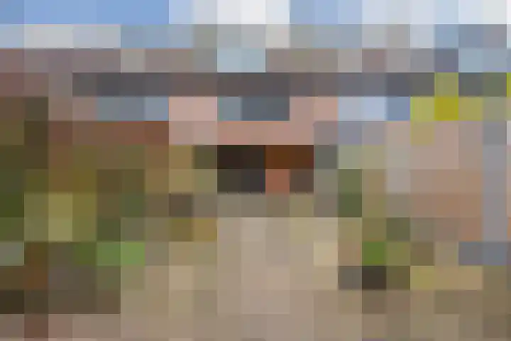 Druivengaard 8 Wijk bij Duurstede thumbnail 22