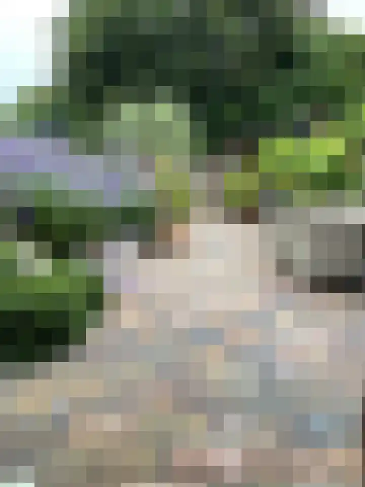Druivengaard 8 Wijk bij Duurstede thumbnail 24
