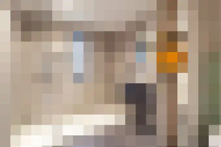 Druivengaard 8 Wijk bij Duurstede thumbnail 32