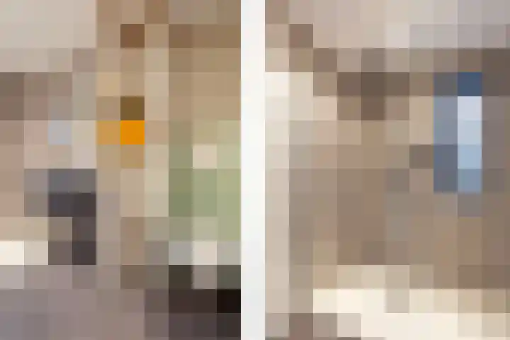 Druivengaard 8 Wijk bij Duurstede thumbnail 33