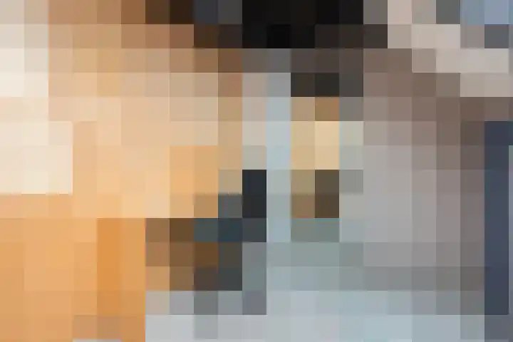 Druivengaard 8 Wijk bij Duurstede thumbnail 34