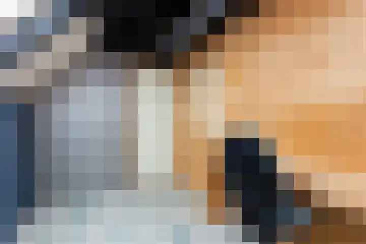 Druivengaard 8 Wijk bij Duurstede thumbnail 35
