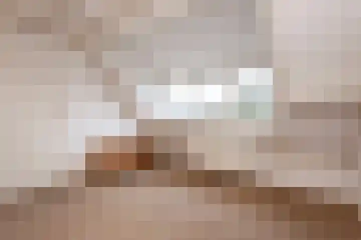 Druivengaard 8 Wijk bij Duurstede thumbnail 38