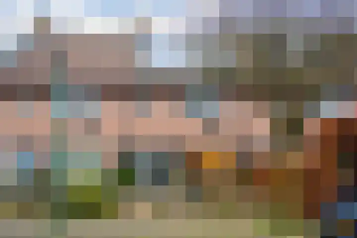 Druivengaard 8 Wijk bij Duurstede thumbnail 4