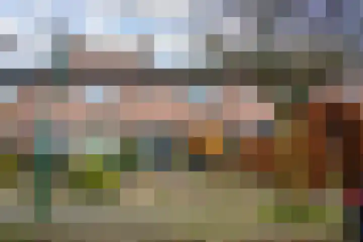 Druivengaard 8 Wijk bij Duurstede thumbnail 41