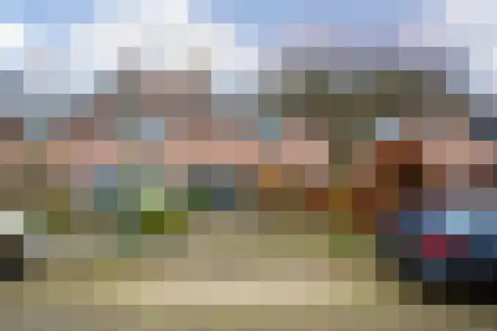Druivengaard 8 Wijk bij Duurstede thumbnail 42