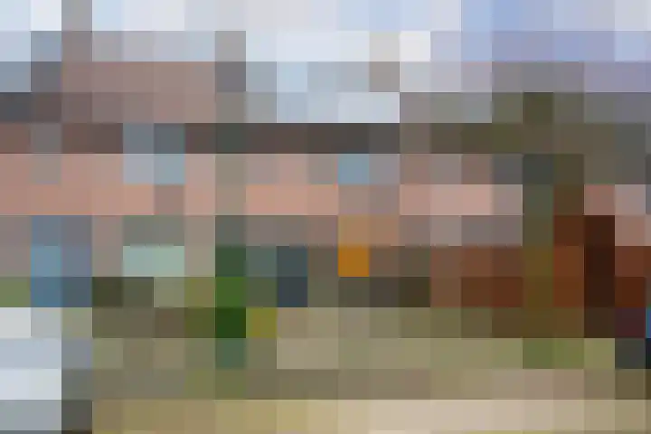 Druivengaard 8 Wijk bij Duurstede thumbnail 43