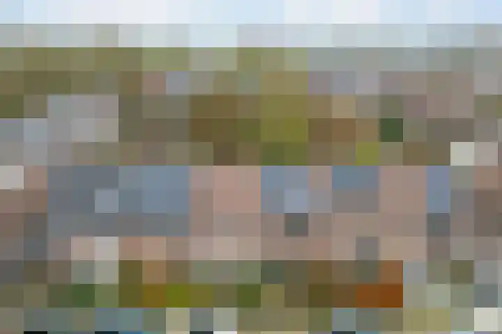 Druivengaard 8 Wijk bij Duurstede thumbnail 45