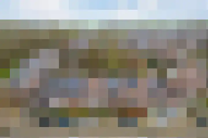 Druivengaard 8 Wijk bij Duurstede thumbnail 46