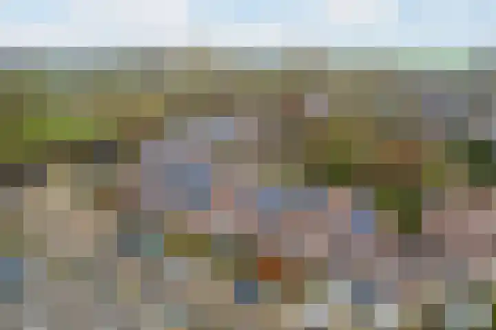 Druivengaard 8 Wijk bij Duurstede thumbnail 47