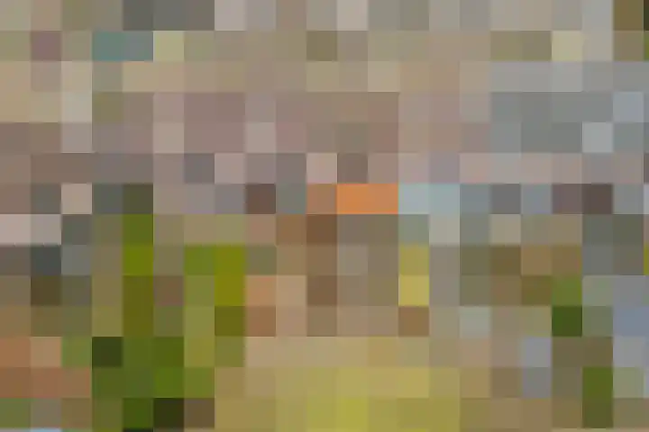 Druivengaard 8 Wijk bij Duurstede thumbnail 48