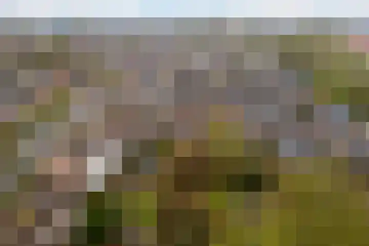 Druivengaard 8 Wijk bij Duurstede thumbnail 49