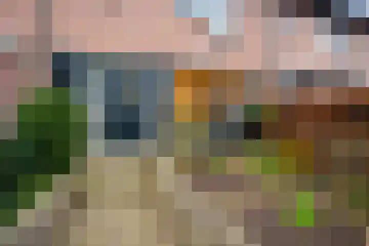 Druivengaard 8 Wijk bij Duurstede thumbnail 5