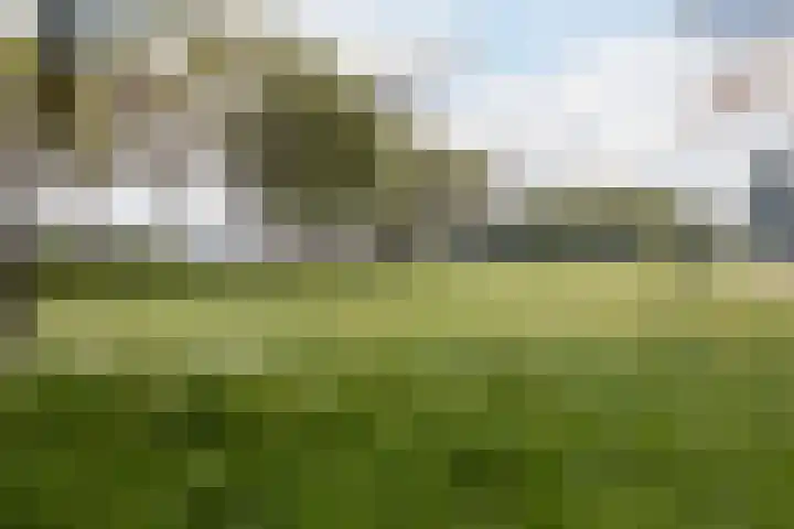 Druivengaard 8 Wijk bij Duurstede thumbnail 50