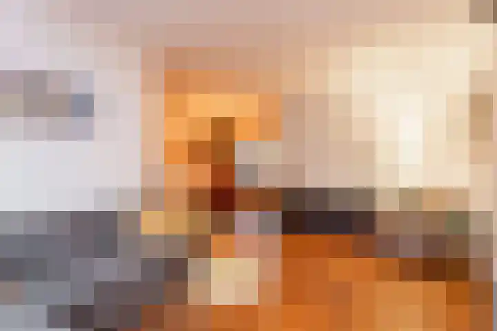 Druivengaard 8 Wijk bij Duurstede thumbnail 9