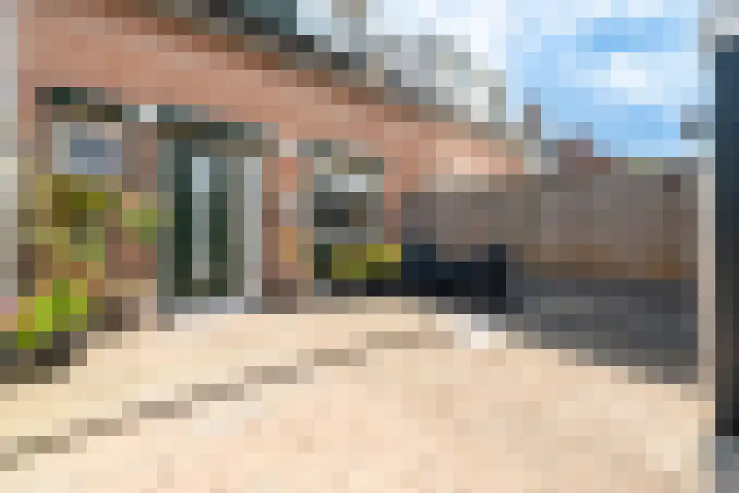 Druivengaard 9 Spijkenisse thumbnail 10