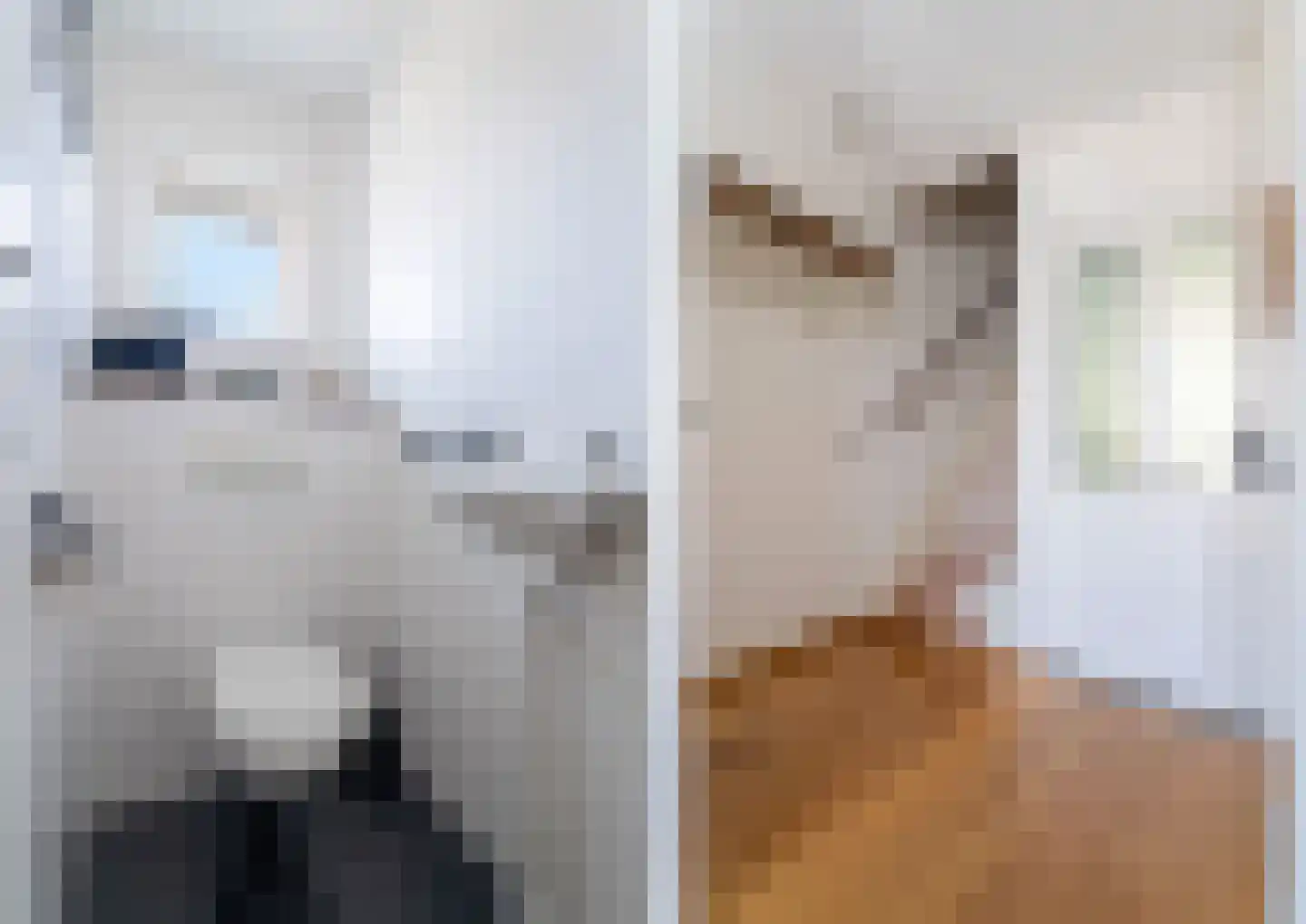 Druivengaard 9 Spijkenisse thumbnail 13