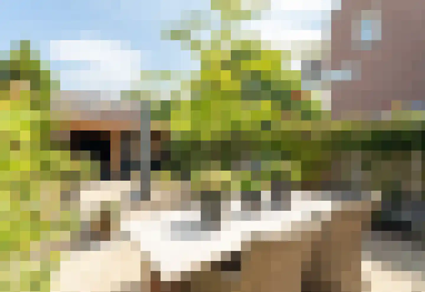 Druivengaard 9 Spijkenisse thumbnail 23