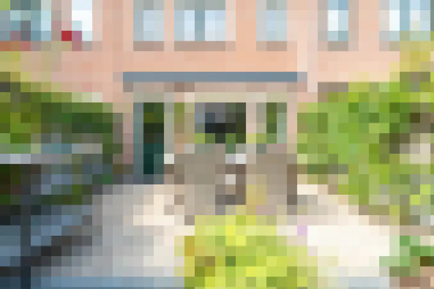 Druivengaard 9 Spijkenisse thumbnail 24