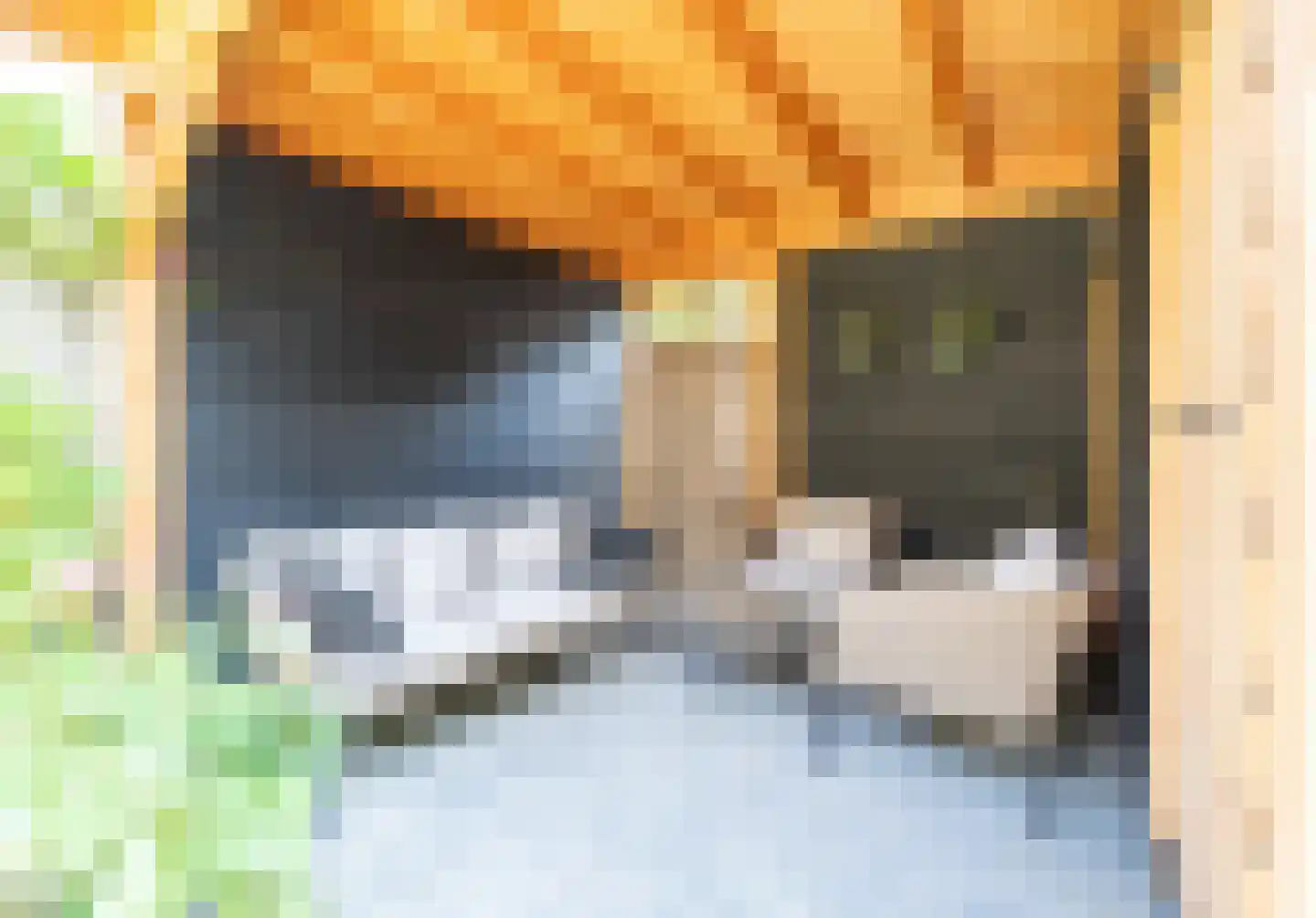 Druivengaard 9 Spijkenisse thumbnail 25