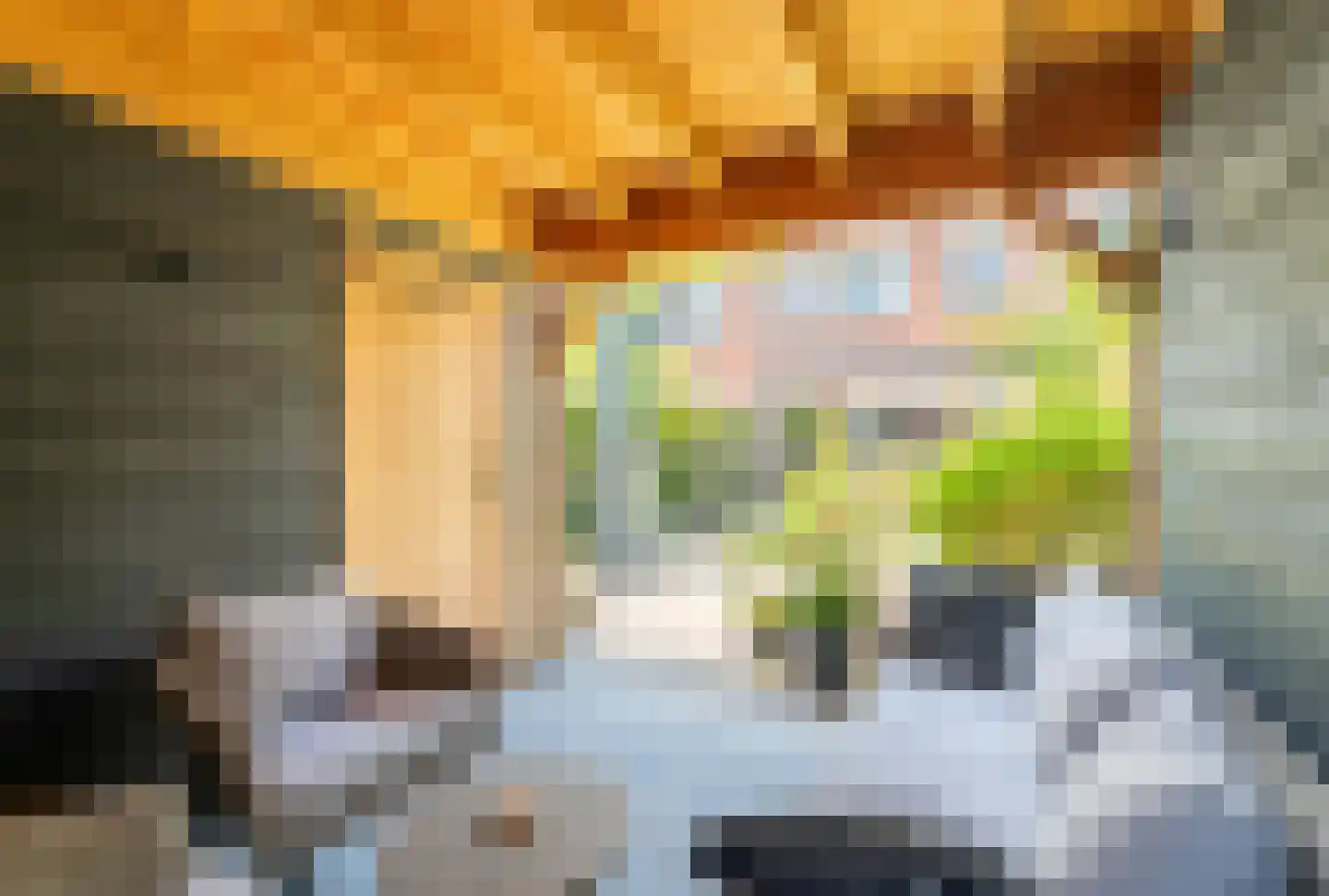 Druivengaard 9 Spijkenisse thumbnail 26
