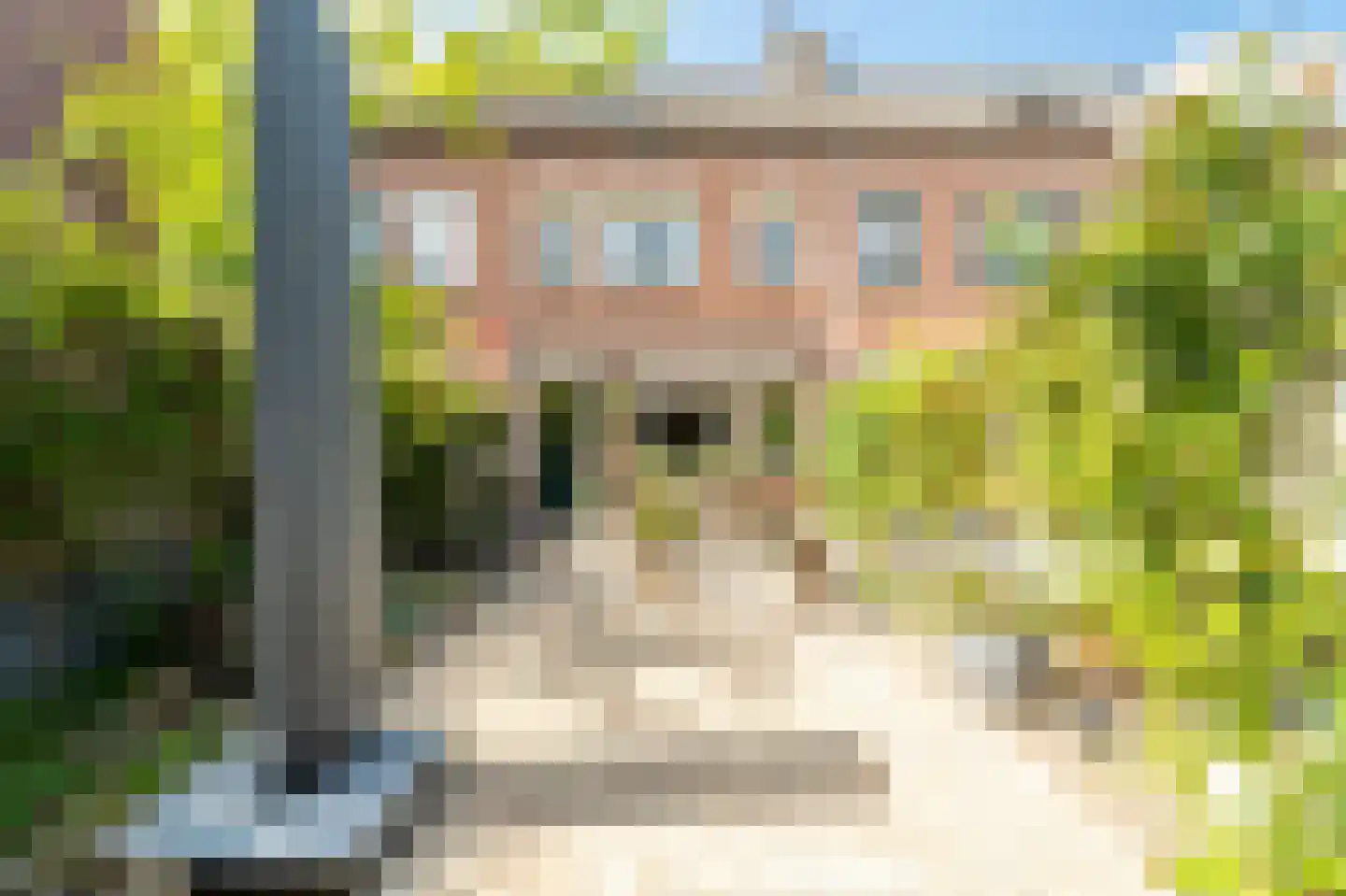 Druivengaard 9 Spijkenisse thumbnail 27
