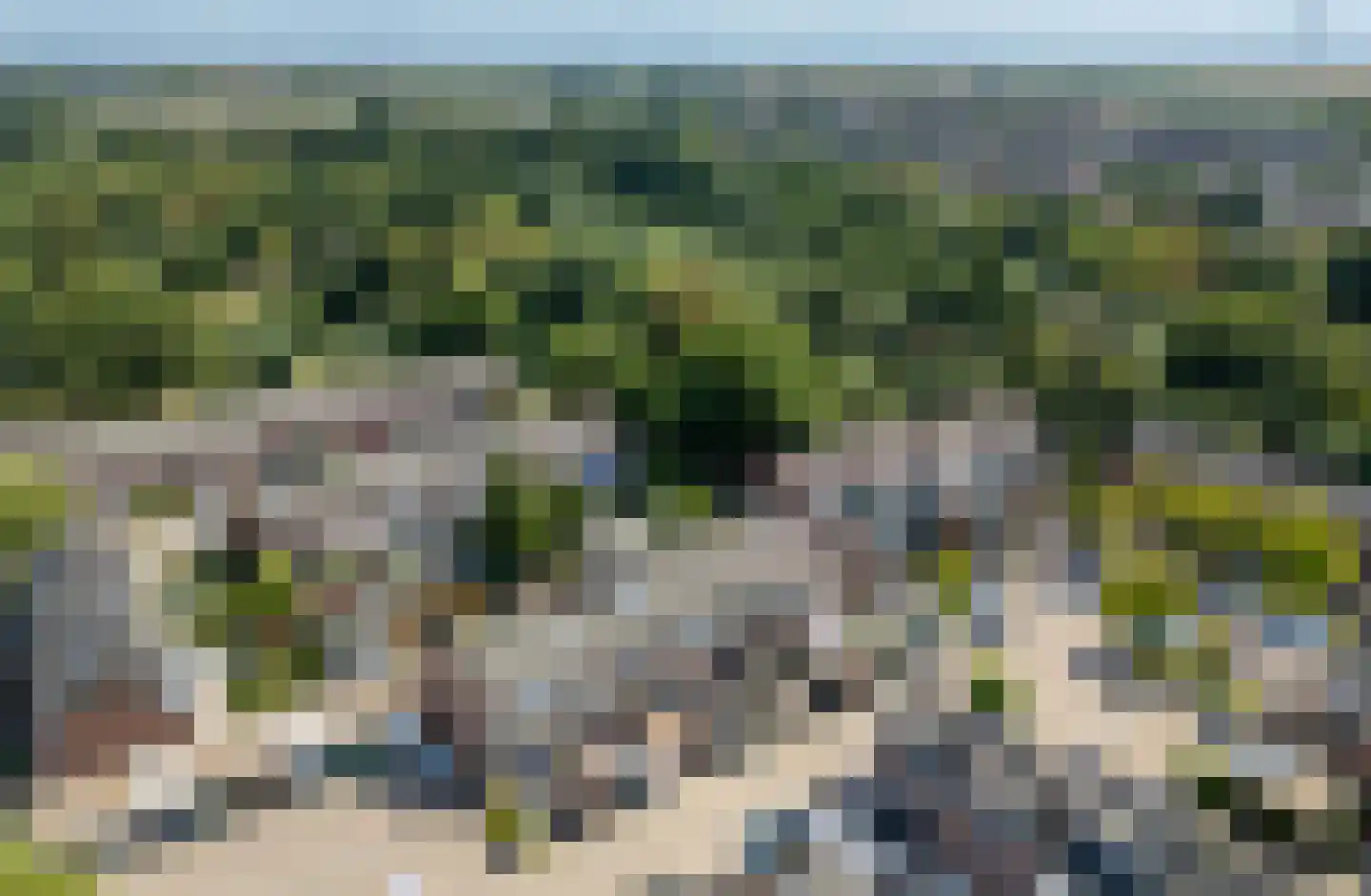 Druivengaard 9 Spijkenisse thumbnail 6