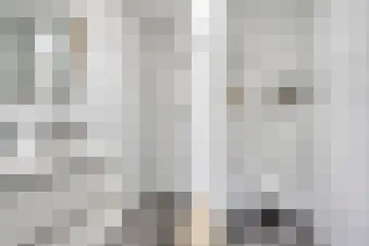 Druivengaarde 24 Houten thumbnail 16