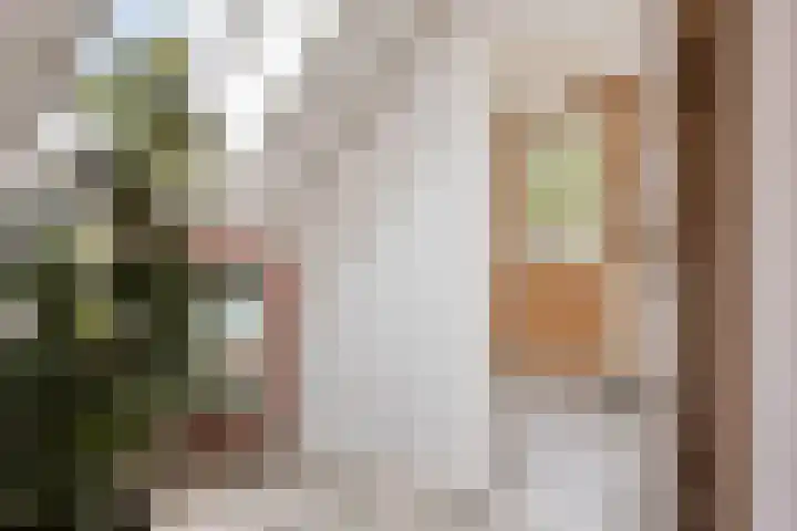 Druivengaarde 24 Houten thumbnail 19
