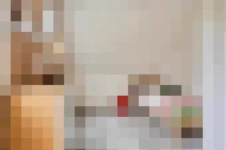 Druivengaarde 24 Houten thumbnail 20
