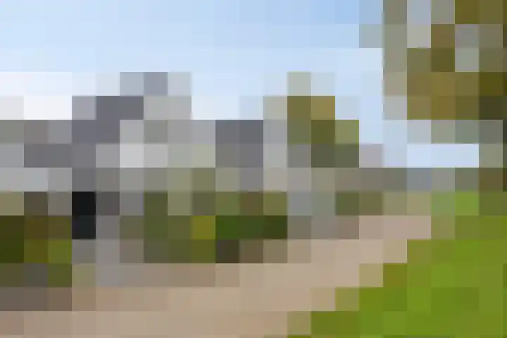 Druivengaarde 24 Houten thumbnail 24