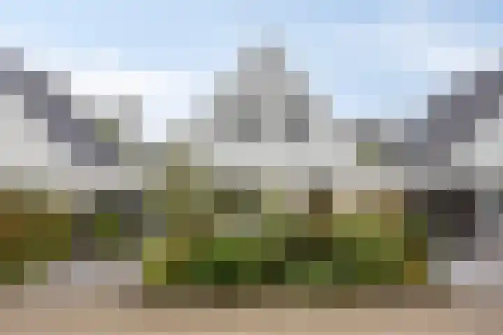Druivengaarde 24 Houten thumbnail 25