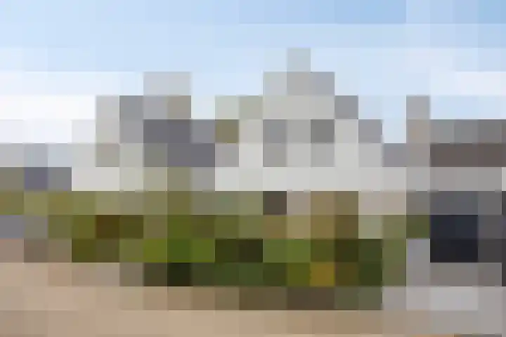 Druivengaarde 24 Houten thumbnail 26
