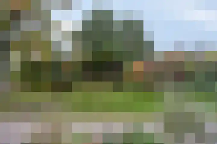 Druivengaarde 24 Houten thumbnail 27