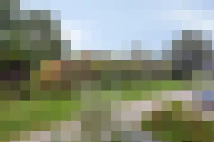 Druivengaarde 24 Houten thumbnail 29