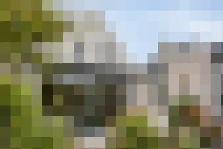 Druivengaarde 24 Houten thumbnail 31