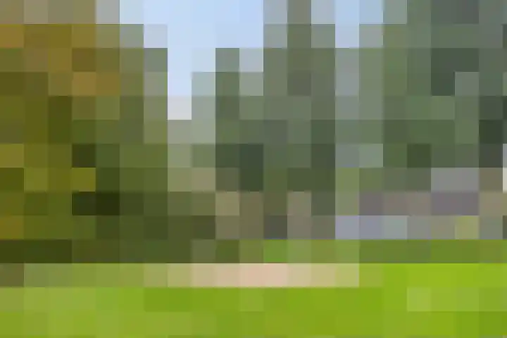 Druivengaarde 24 Houten thumbnail 32