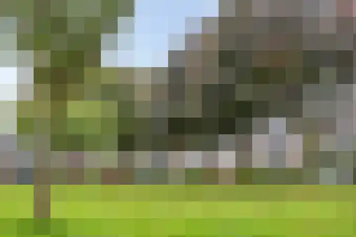 Druivengaarde 24 Houten thumbnail 33