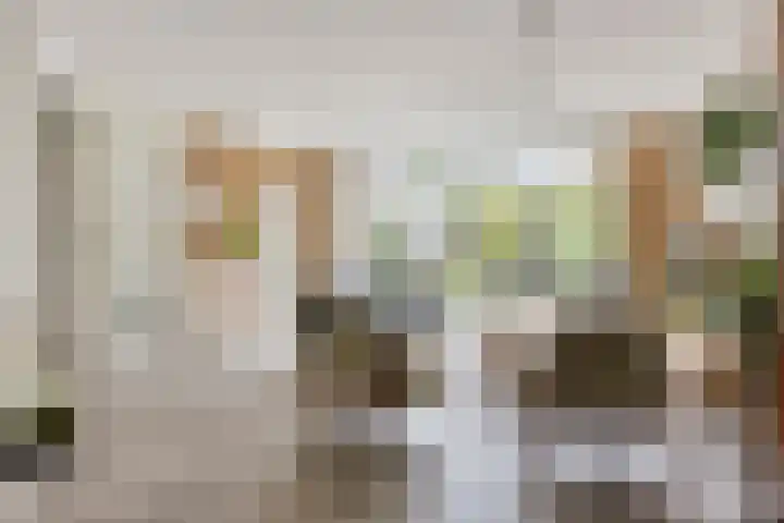 Druivengaarde 24 Houten thumbnail 6