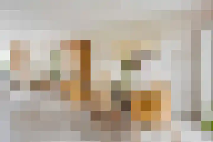 Druivengaarde 24 Houten thumbnail 7
