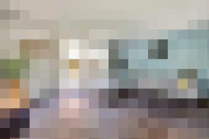 Druivengaarde 28 Dongen thumbnail 10