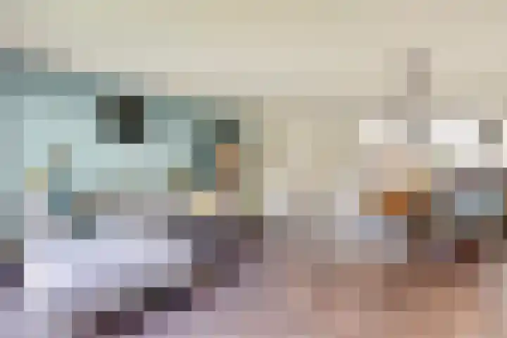 Druivengaarde 28 Dongen thumbnail 11
