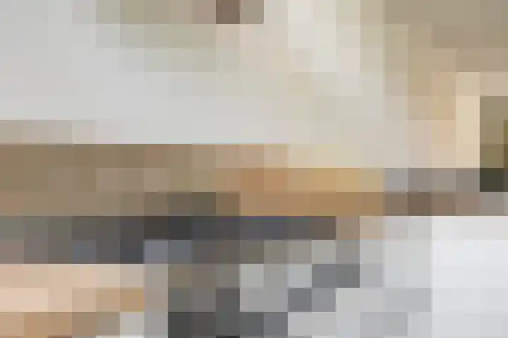 Druivengaarde 28 Dongen thumbnail 16