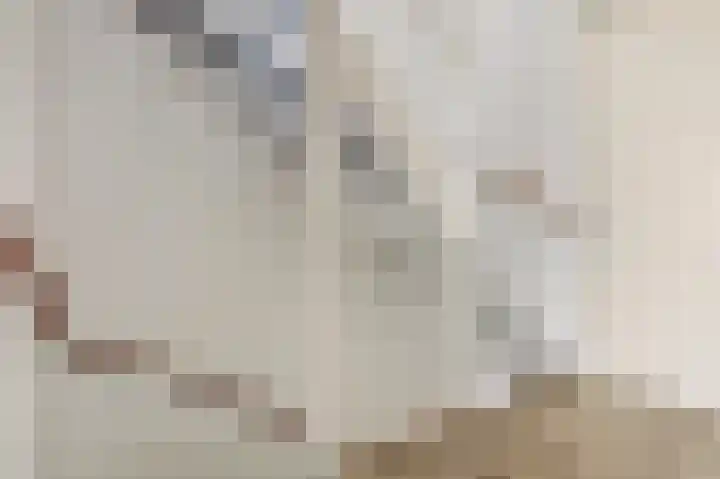 Druivengaarde 28 Dongen thumbnail 19