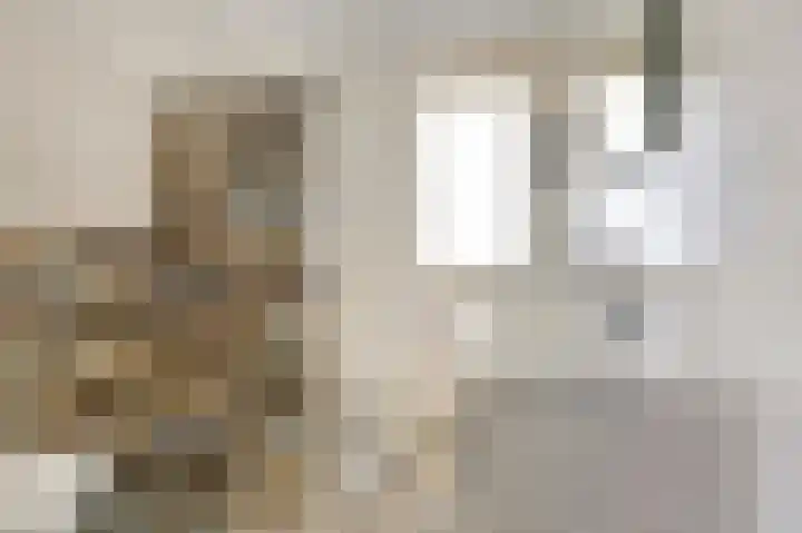 Druivengaarde 28 Dongen thumbnail 25